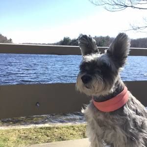 Meet your Posher, Sharron